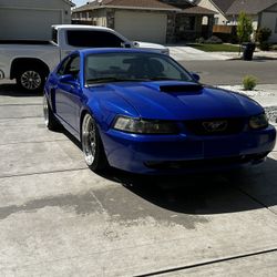 2002 Ford Mustang