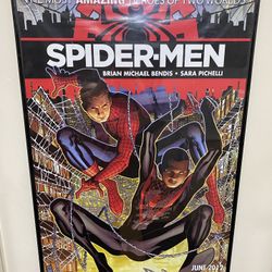 Spider-Man Poster Frame
