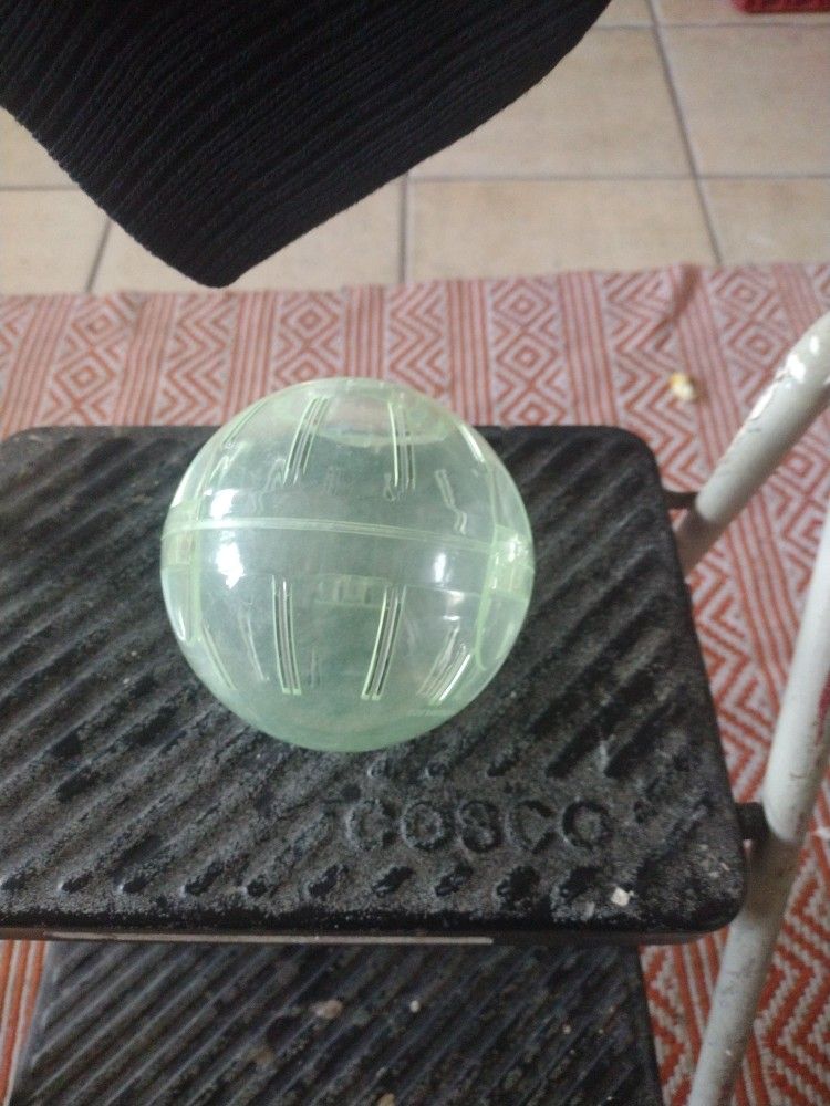 Hamster Or Mouse Ball