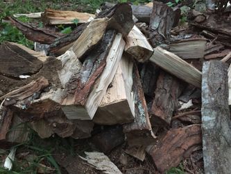 It’s that time: BBQ seasoned wood