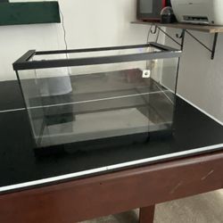 20 Gallon Tank 