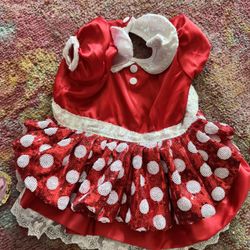 Disney Dog Dress Size Medium,$10 