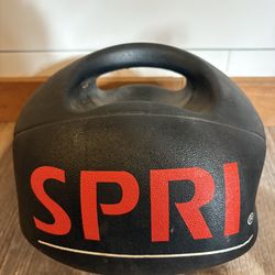 10lb Medicine Ball with Handles