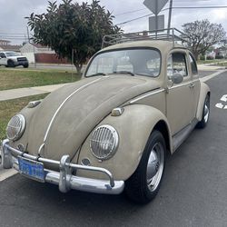1964 Volkswagen Beetle Bug VW 