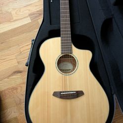 Breedlove Acoustic/Electirc