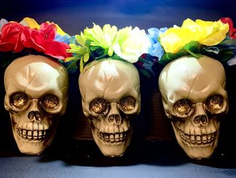 Halloween Skeletons