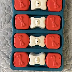 Dog Brain Game Hide Treats Underneath Each Box