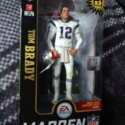 Tom Brady Aka The Goat