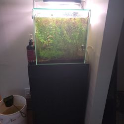 17 gallon fish tank aquarium