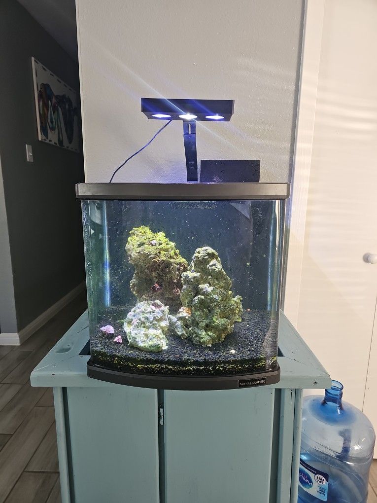 32 gl Coralife LED BioCube Aquarium