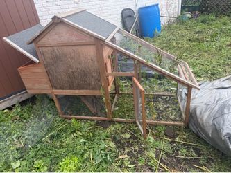 Chicken shed/chicken house/chicken coop