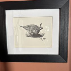 Lone Quail- Pencil Drawing By Terry Maddox 79’