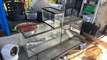 2 ten gallon tanks and a 2.5