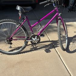 Women’s Bike 26” Tires 