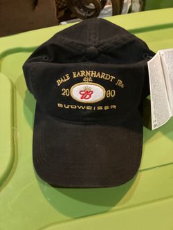 Dale Earnhardt Junior