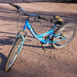 Mountain Bike