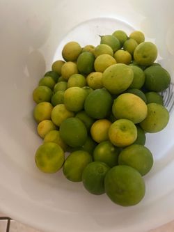 Venta de limón mexicano
