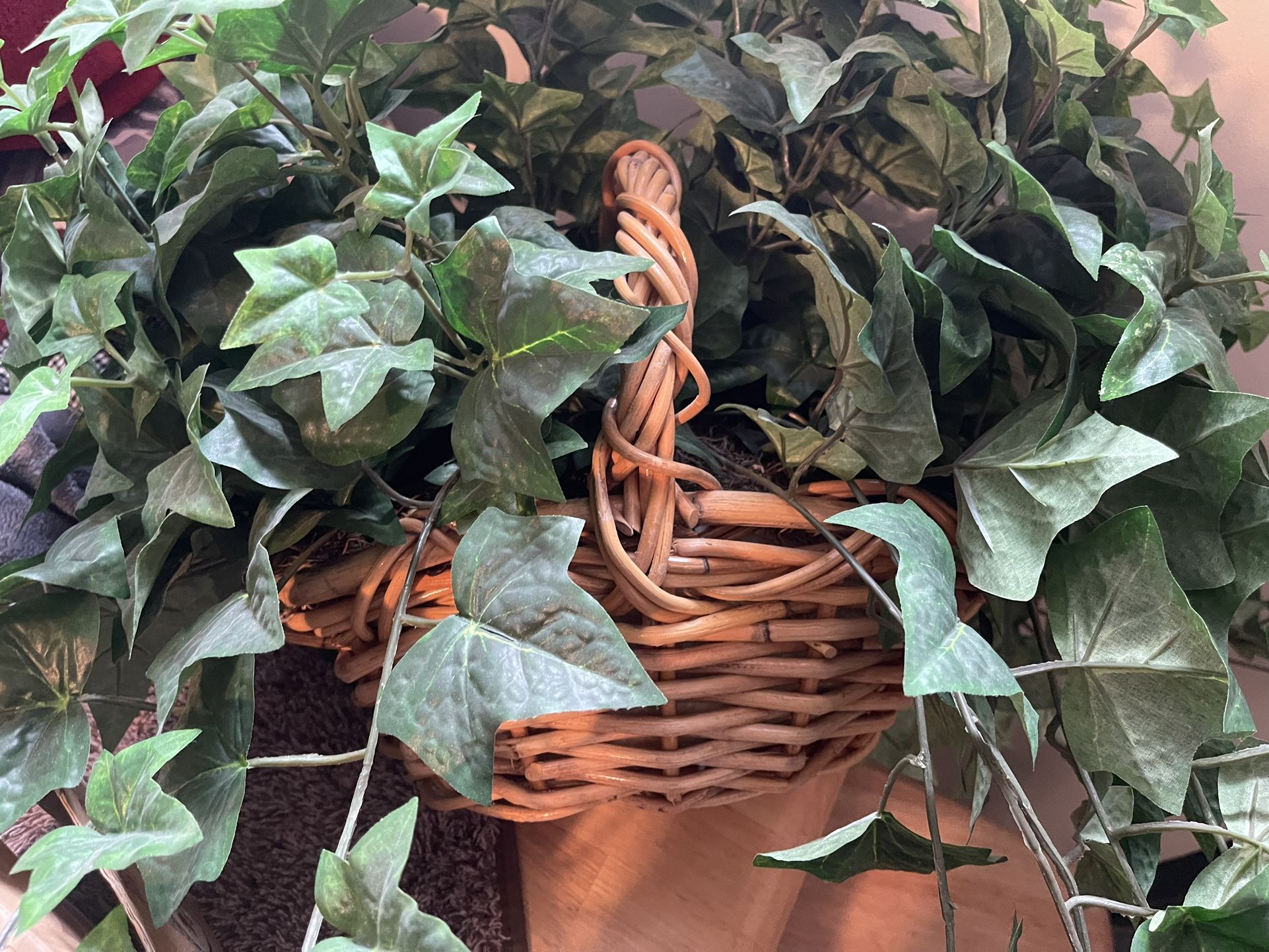 Plant With Basket 
