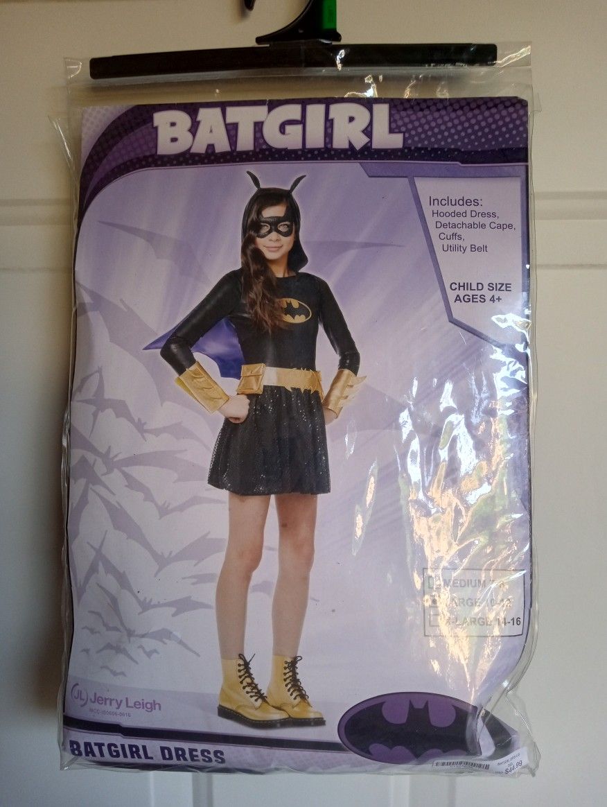 Batgirl Halloween Costume