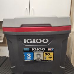 Igloo Cooler