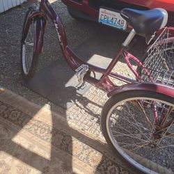 3 Wheel Bike