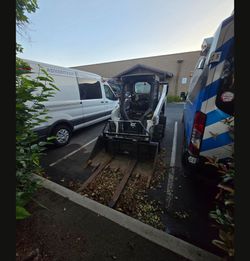 Bob Cat S66