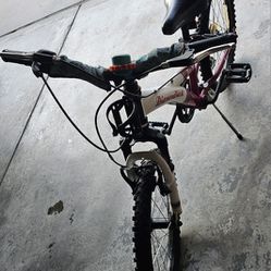Diamondback Tess20 Mountain Girls Bicycle 