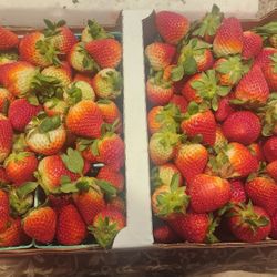 Fresas 