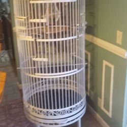 Rod Iron Bird cage  6' Tall 3' Wide