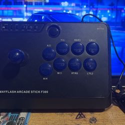 arcade Fight Stick