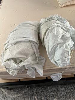 Organic birch sheets