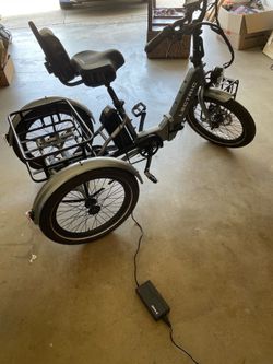 Lectric Trike lectric brand
