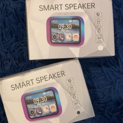 Smart Speaker