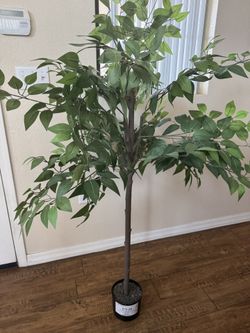 2 Fake Indoor Trees 4ft, 30 each