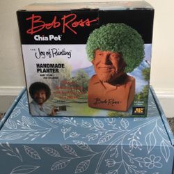 Bob Ross And Sophia Petrillo Chia Pets