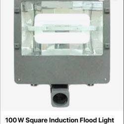 Flood light-Outdoor/ 100 W
