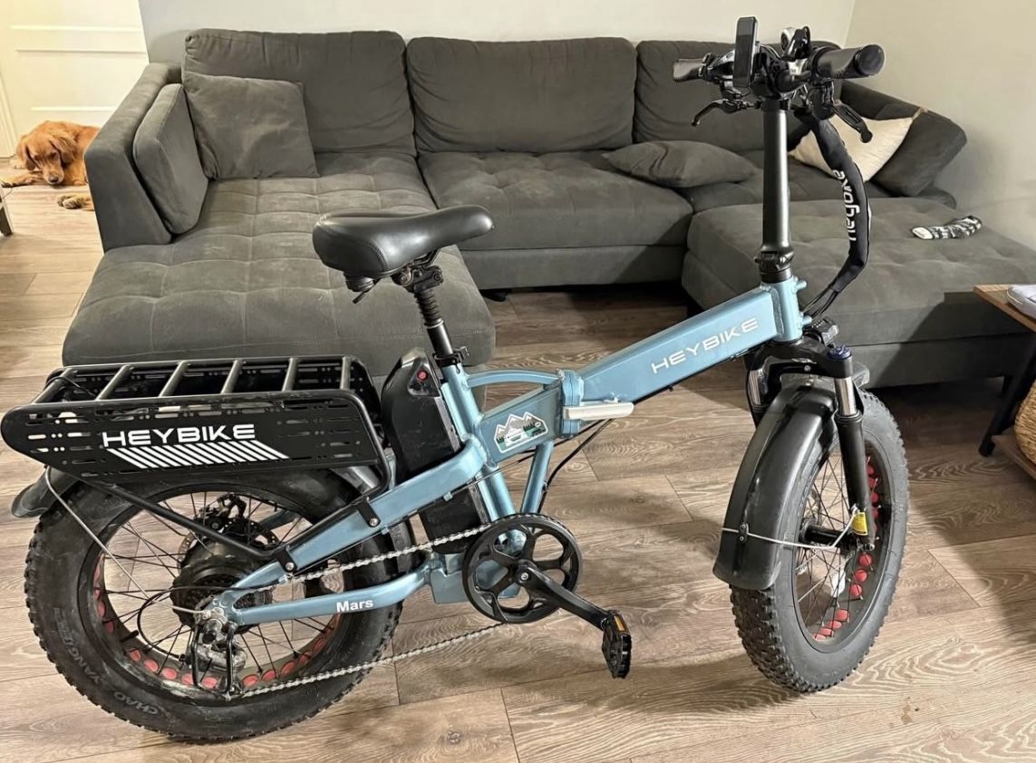 Ebike Electric Bike
