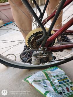 Raleigh bike