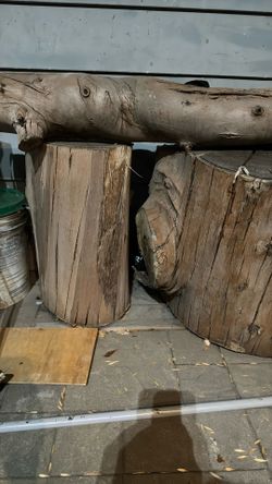 Eucalipto Tree Stumps