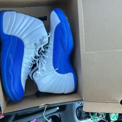 Jordan Retro 12