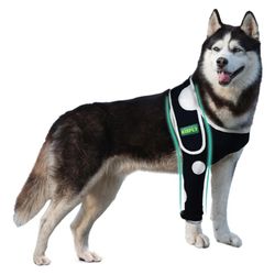 Kisfly Dog Elbow