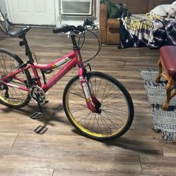 Diamondback Elite 24” Women’s Bike