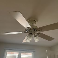 Ceiling Fan With Light 