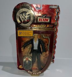 WWF Ric Flair Figure