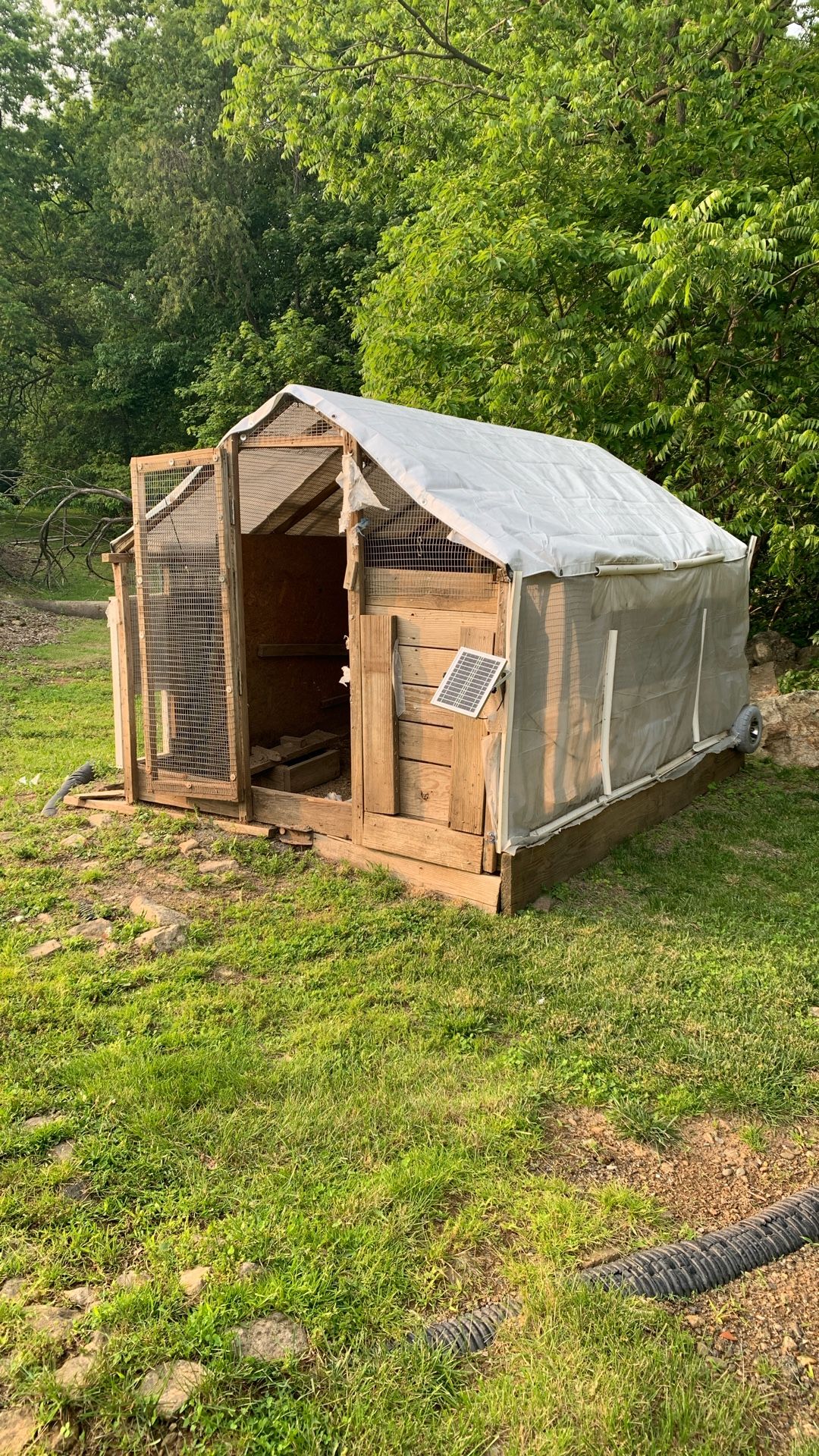 Homemade Chicken Tractor