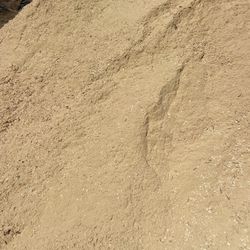 Sawdust 