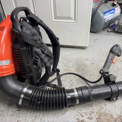 Echo Backpack Blower PB-580T. Read Below Before Contacting Me !!!