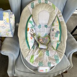 Toddler Or Baby Rocker 