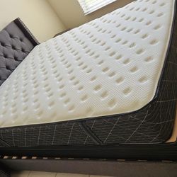 New Queen Mattress And Box Spring 2pc Bed Frame  Is Not Included 