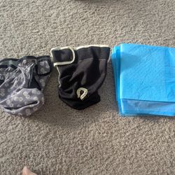 Female Washable Dog Diaper Covers, Medium, Training Pads